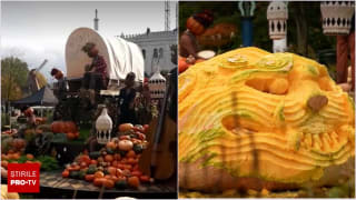 Dovleci sculptați pentru Halloween în Tivoli