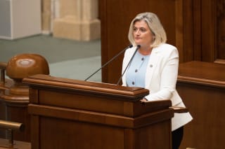 Senator Luminița Păucean-Fernandes în Parlament
