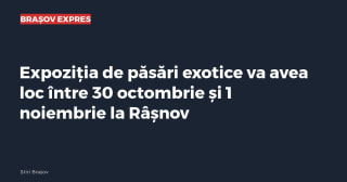 Imagine cu caracter ilustrativ