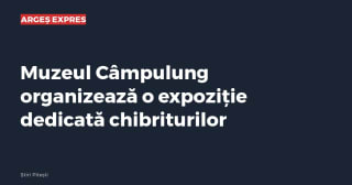 Imagine cu caracter ilustrativ