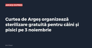 Imagine cu caracter ilustrativ