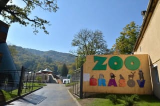 Grădina Zoologică Brașov implicată în conservarea polenizatorilor