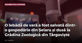 Imagine cu caracter ilustrativ
