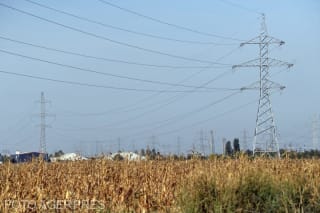grafica prețurilor energiei electrice