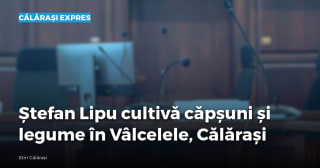 Imagine cu caracter ilustrativ