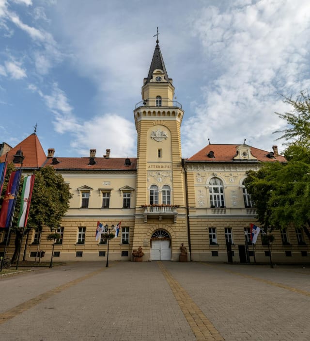 Focar Salmonella Galați: Peste un milion de ouă oprite de la vânzare