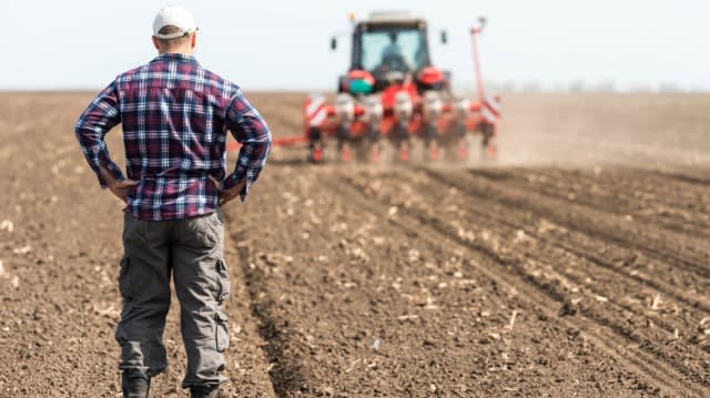 România riscă o criză alimentară: 3 milioane hectare teren agricol pierdute