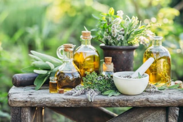 Sănătate din grădină: plantele românești care te scapă de toxine și oboseală
