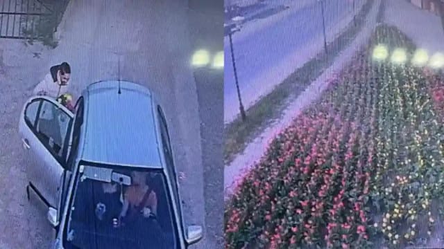 FOTO | Parcul din Cetatea de Baltă a devenit florărie gratuită pentru un tânăr de Paște 2026, acuzat de vandalism