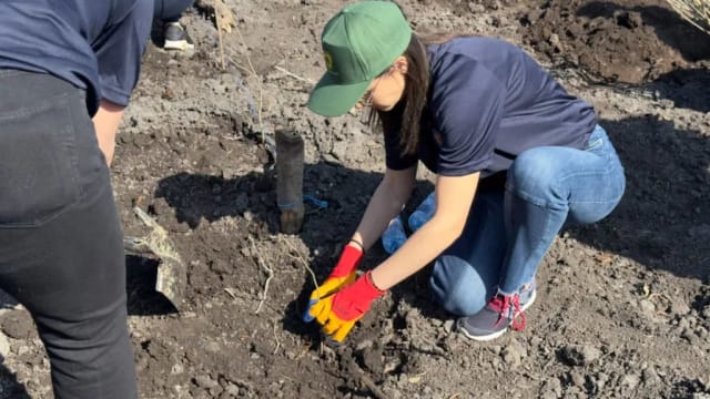FOTO / Polițiștii din Buzău au plantat peste 1.000 de puieți în campania de împădurire