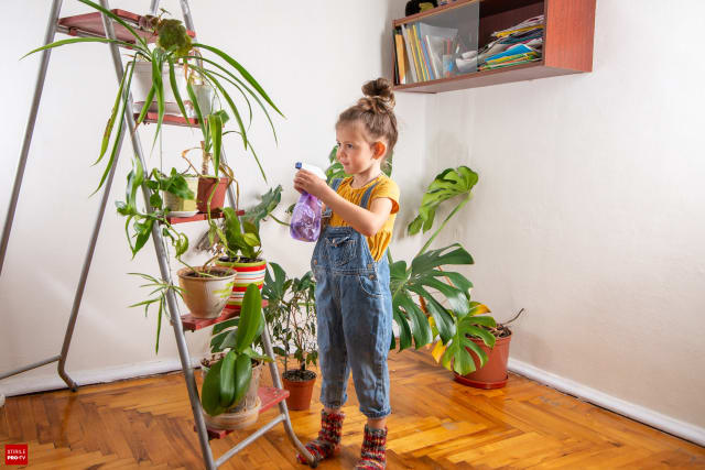 Plante din casă periculoase pentru copii: ce specii trebuie evitate