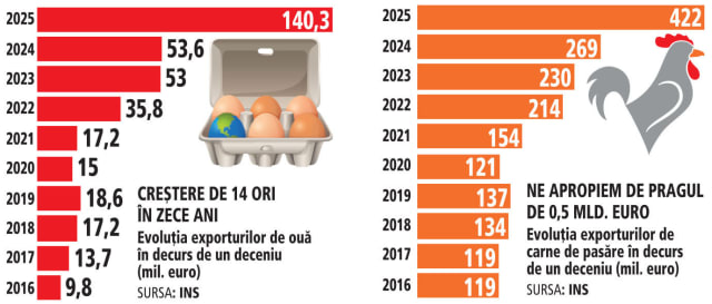 România investește sute de milioane de euro în sectorul avicol, cu 800 de ferme și exporturi de peste jumătate de miliard de euro în carne și ouă