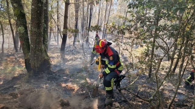 Autoritățile avertizează asupra riscului incendiilor de vegetație și fond forestier