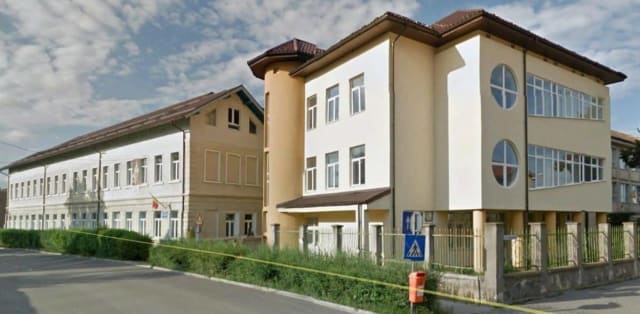 Elevii Liceului de Arte ”Regina Maria” din Alba Iulia obțin rezultate remarcabile la olimpiadele recente
