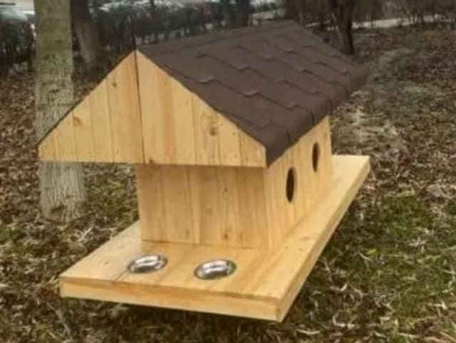 Primarul Emil Boc a anunțat amplasarea căsuțelor pentru pisicile fără stăpân în Cluj-Napoca