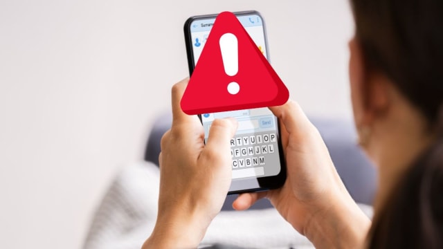 Ministerul Afacerilor Interne dezminte oficial mesajul fals RO-ALERT circulat pe internet