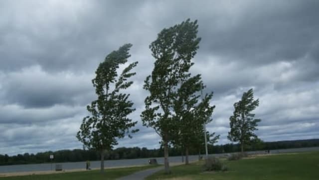 Avertizare meteo: Cod portocaliu de vânt în Bacău și zone montane