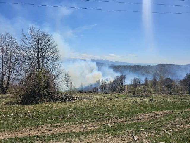 Pompierii din Hunedoara luptă cu incendiul de vegetație intensificat de vântul puternic