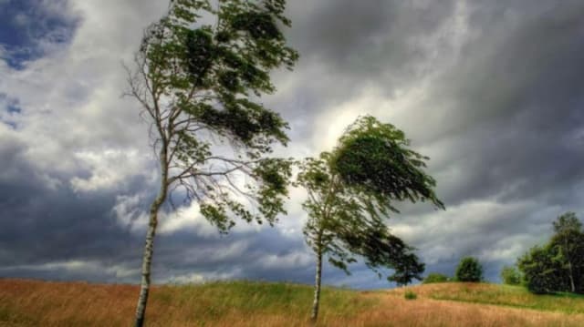 Cod galben de vânt în Buzău: meteorologii au anunțat intensificări ale rafalelor