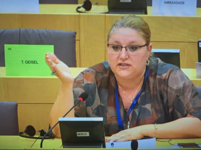 Diana Șoșoacă, trimisă în judecată pentru sechestrarea unei jurnaliste din Italia