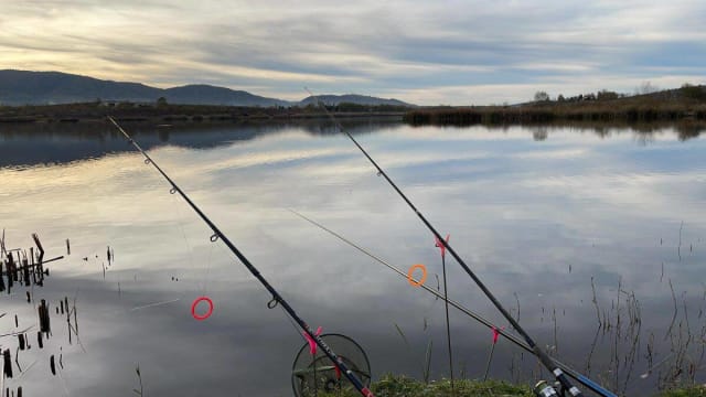 Pescar din Alba, trimis în judecată pentru furt după ce a pescuit dintr-un lac
