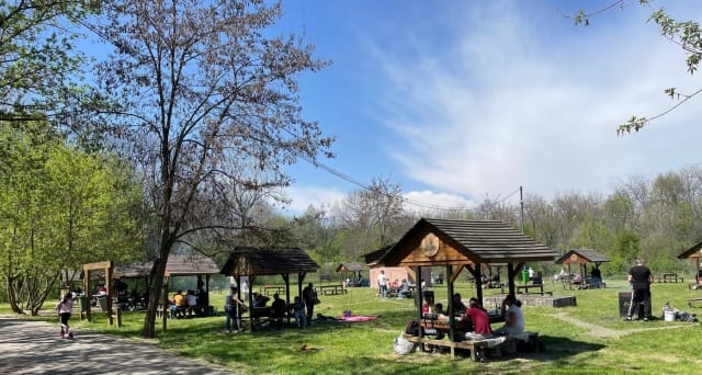 Legea picnicului: unde au voie românii să facă grătar de 1 Mai și ce amenzi riscă