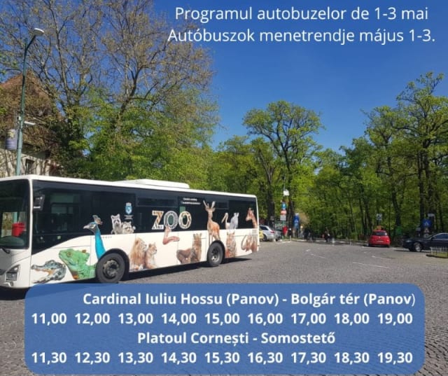 Linii speciale de autobuze facilitează accesul către Platoul Cornești din Târgu Mureș