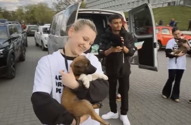 Fotbaliștii de la U Cluj au intrat pe teren cu câini de adăpost pentru campania de adopție