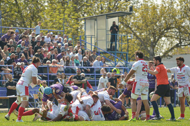 Dinamo – Steaua, decis la masa verde! Timișoara joacă sâmbătă în Liga de Rugby