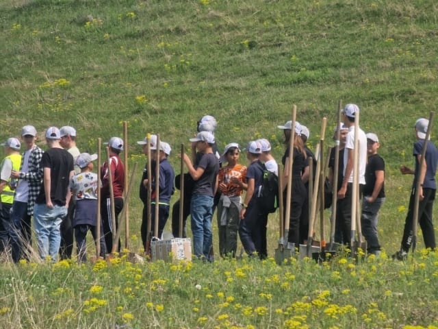 Mobilizare exemplară la Udești: 5.000 de puieți plantați pentru stabilizarea dealului afectat de eroziune
