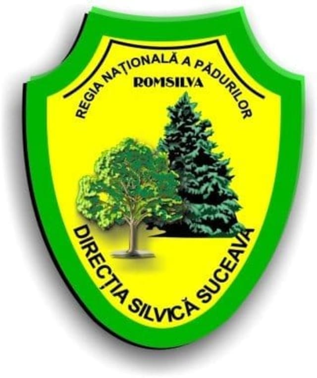 Direcția Silvică Suceava a anunțat dezbatere publică pentru planul de gestionare a pădurilor din Șaru Dornei