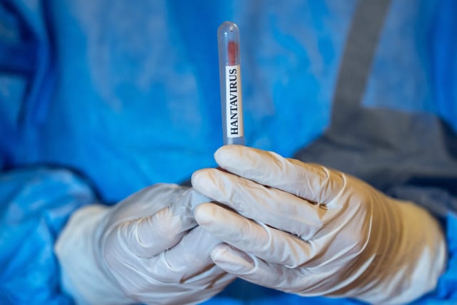 Institutul Cantacuzino clarifică cazul de hantavirus din România: Nu are legătură cu focarul de la bordul navei
