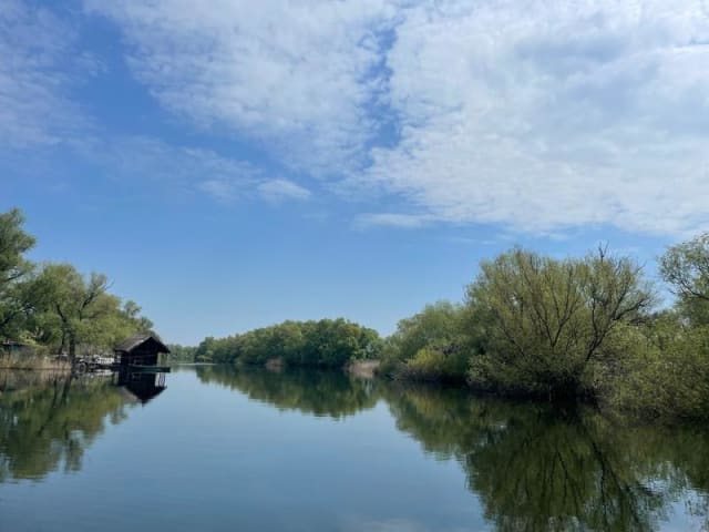Primarul din Tulcea avertizează că alertele de drone afectează grav turismul din Delta Dunării