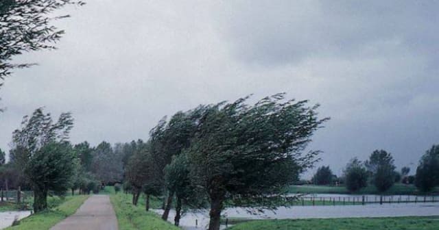 Administrația Națională de Meteorologie a anunțat cod galben de vânt puternic în Suceava pe 20 mai