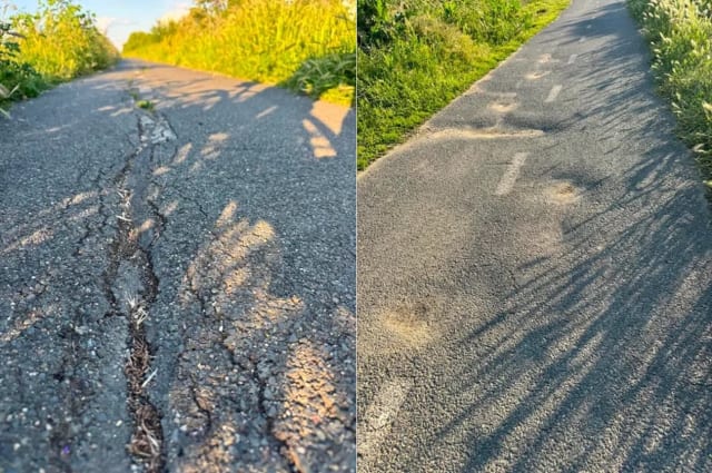 Cicliștii reclamă starea deplorabilă a pistei de biciclete spre Serbia din Timiș