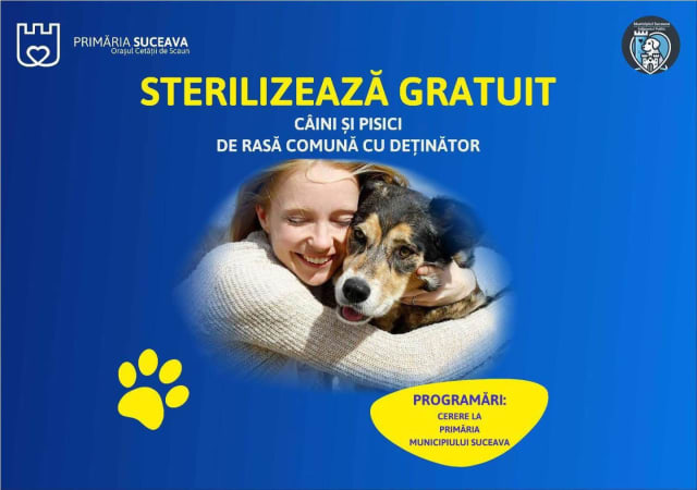 Primăria Suceava finalizează cu succes campania de sterilizare gratuită pentru animale, cu 411 animale sterilizate