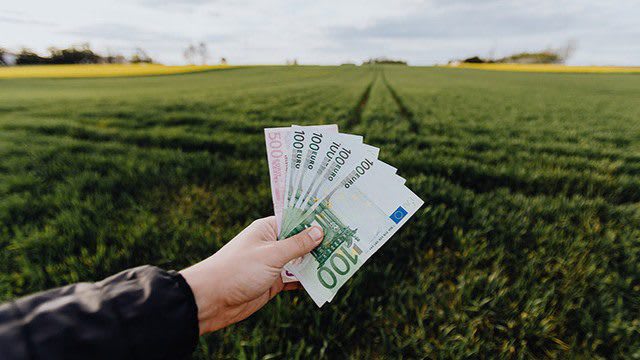 Veste bună pentru fermieri! Ce bani intră în conturi