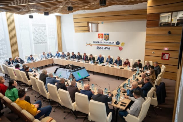 Consiliul Județean Suceava a aprobat construcția unui pod nou la Panaci și reabilitarea altor două poduri