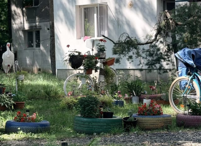 Colțul de pe Aleea Iezerului din Ploiești care încântă trecătorii cu frumusețea sa