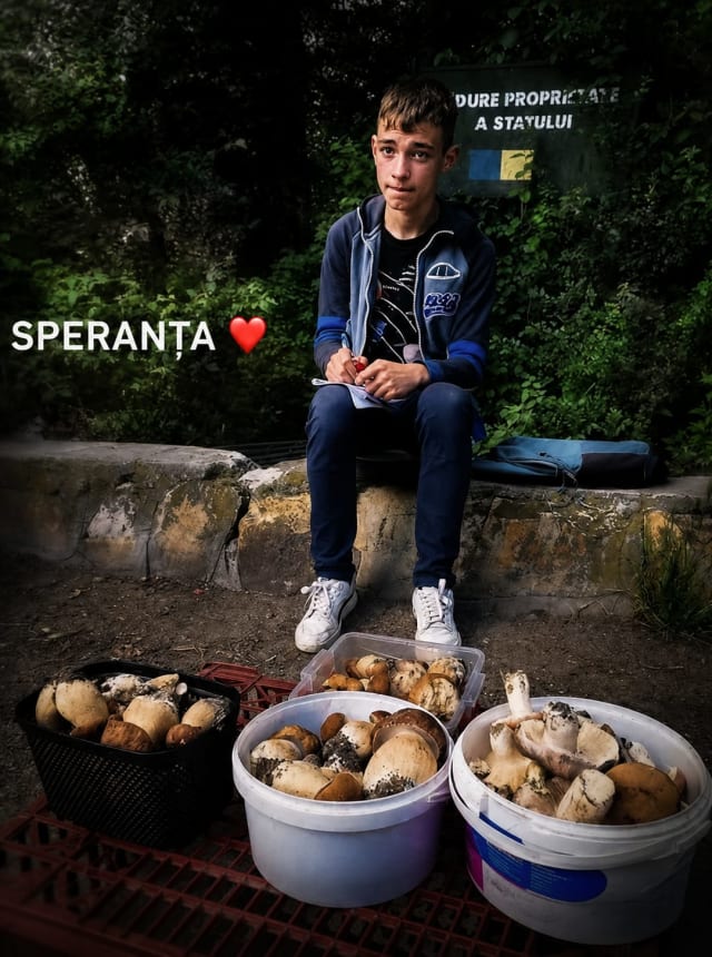 Un băiat de 13 ani vinde hribi la marginea drumului pentru a-și ajuta familia — și citește în timp ce așteaptă clienții. Povestea lui a devenit virală