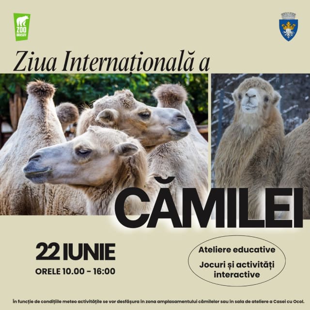 Ziua Cămilei va fi sărbătorită la Grădina Zoologică Brașov pe 22 iunie