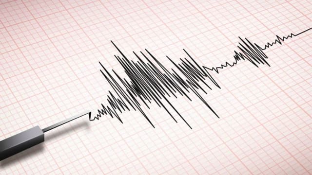 Un cutremur cu magnitudinea 2.9 s-a produs în zona Vrancea duminică