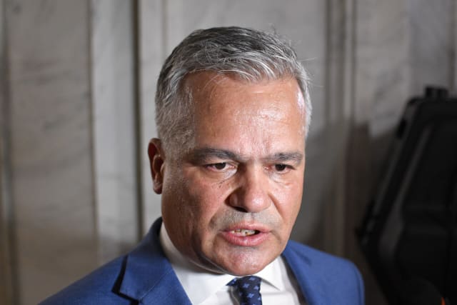 Adrian Veștea în discurs politic, susținând Platforma Liberal-Conservatoare