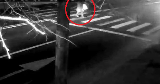 (VIDEO) Momentul accidentului din Bacău în care o mașină s-a răsturnat. Un copil de 2 ani, salvat de jandarmi