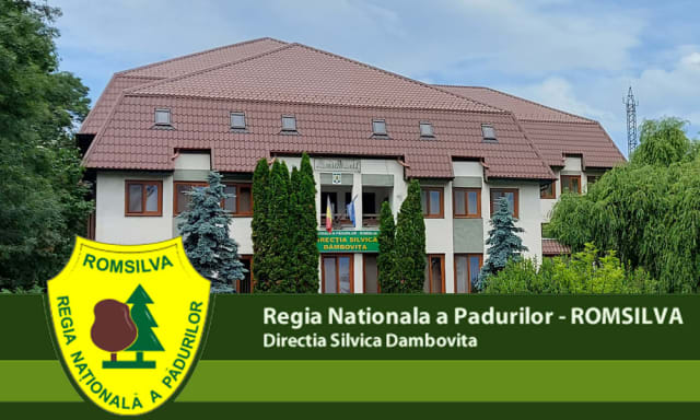 drum forestier în pădure, lucrare de reabilitare