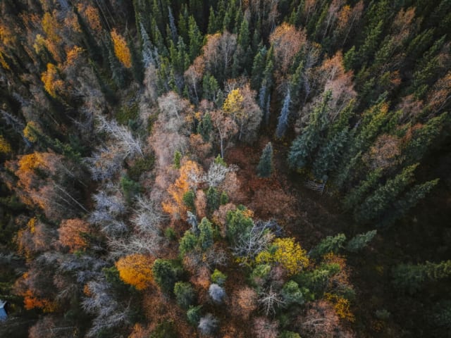 Eturia a lansat circuite adventure cu Radu Păltineanu, de la Alaska la Țara de Foc