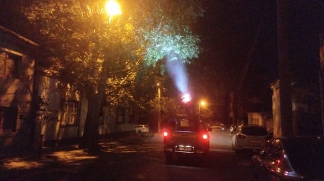 Primăria Eforie a atribuit două contracte pentru dezinsecție în parcuri, firmei locale Gemenii AS SRL