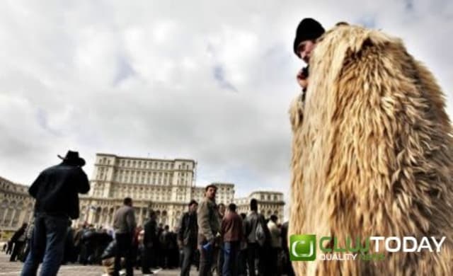 România, pe locul 2 în UE la efectivele de ovine, dar sectorul se confruntă cu crize multiple