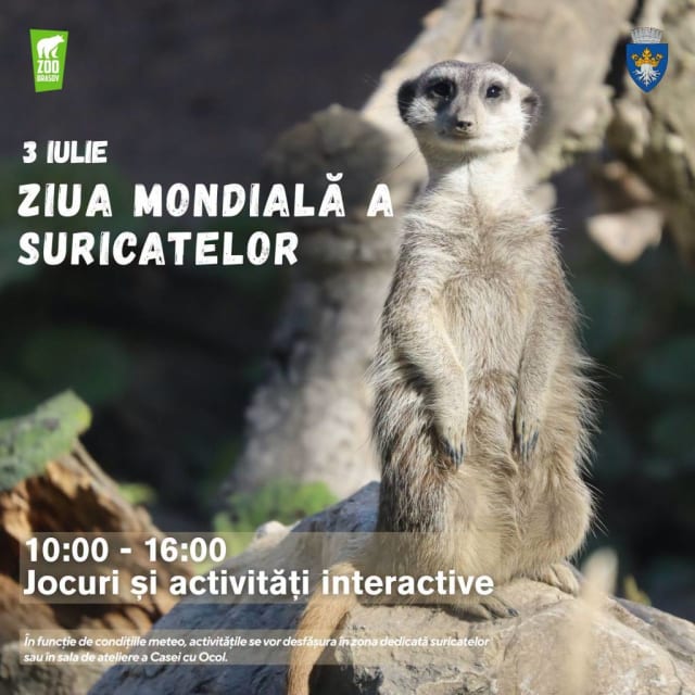 Zoo Brașov marchează Ziua Mondială a Suricatelor cu activități educative pe 3 iulie