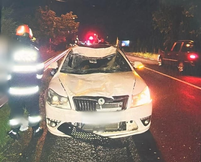 Un accident rutier în Cluj: un cal a fost lovit mortal pe șosea și două mașini au fost avariate